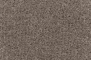 Ковролин Radici Admiral Fawn 20 фото  | FLOORDEALER